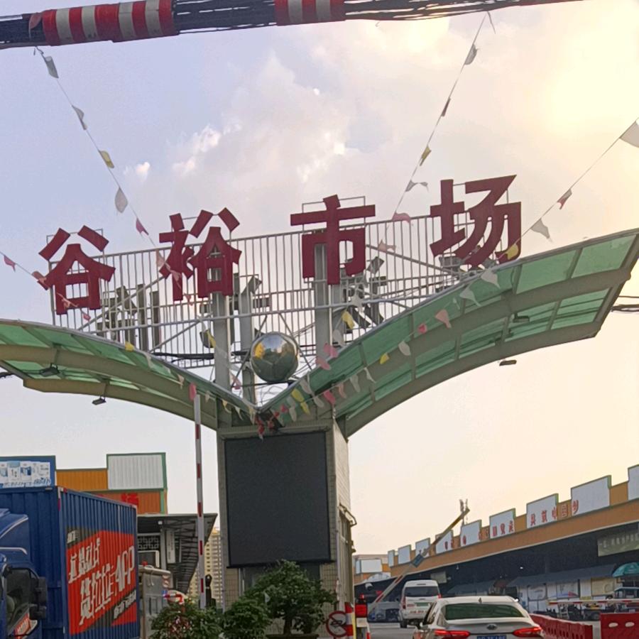 张绍军