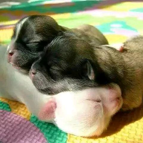 丫头。。。。。。。。。。。。。。。