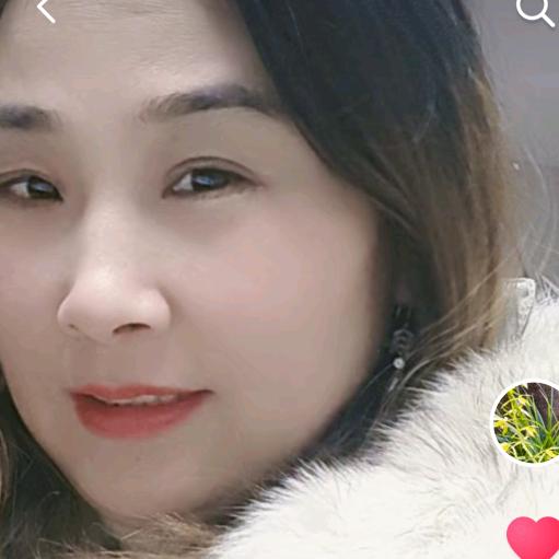 含羞草
