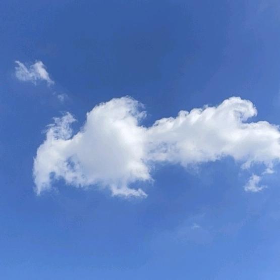 🧐完了🤘完了🧐