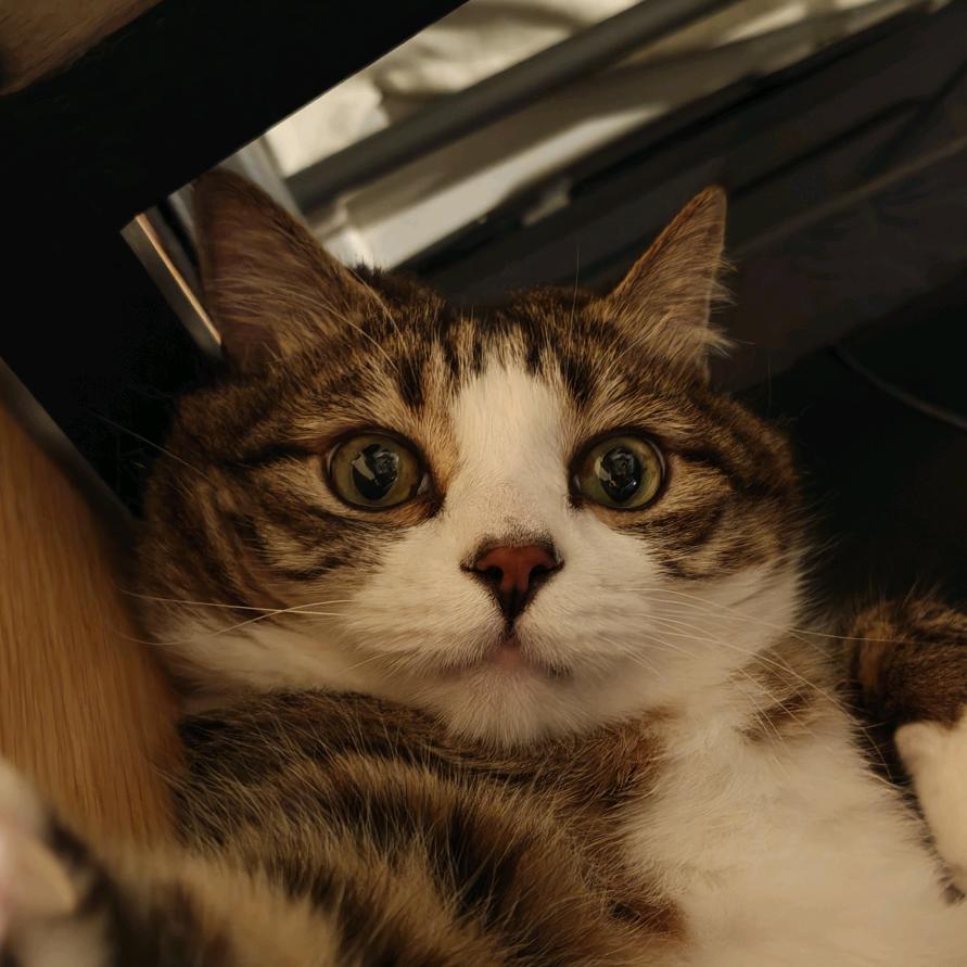 营养茄子豆🍆🫘