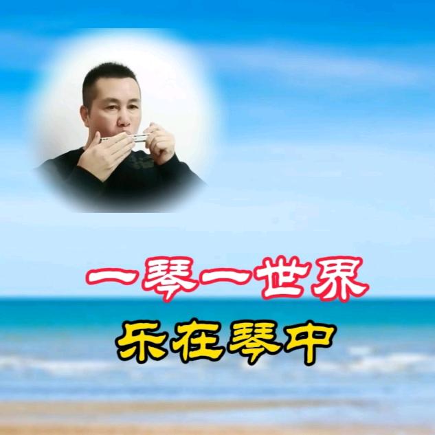 一琴一世界·乐在琴中！