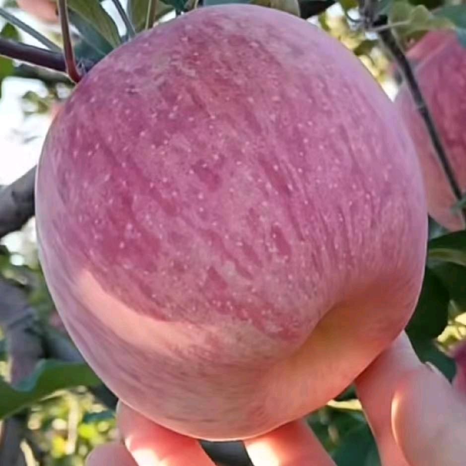 富荣