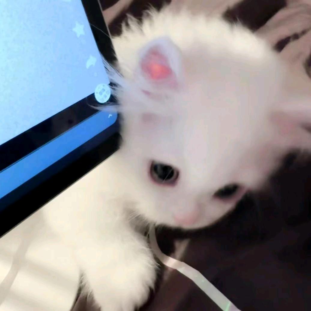 薇🤓