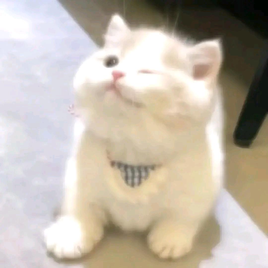王者模拟战芋泥