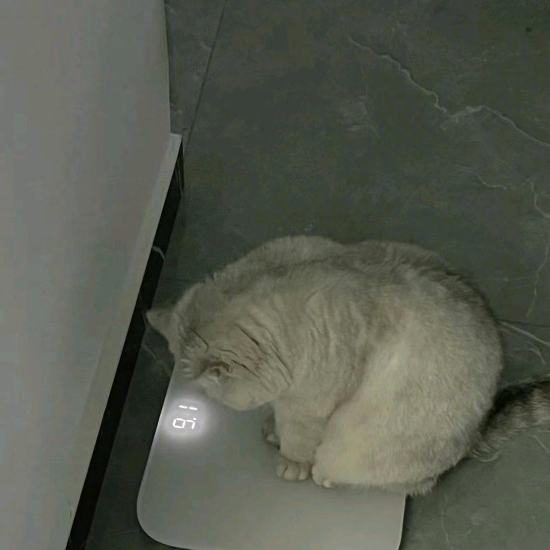 唯爱尤咏慈