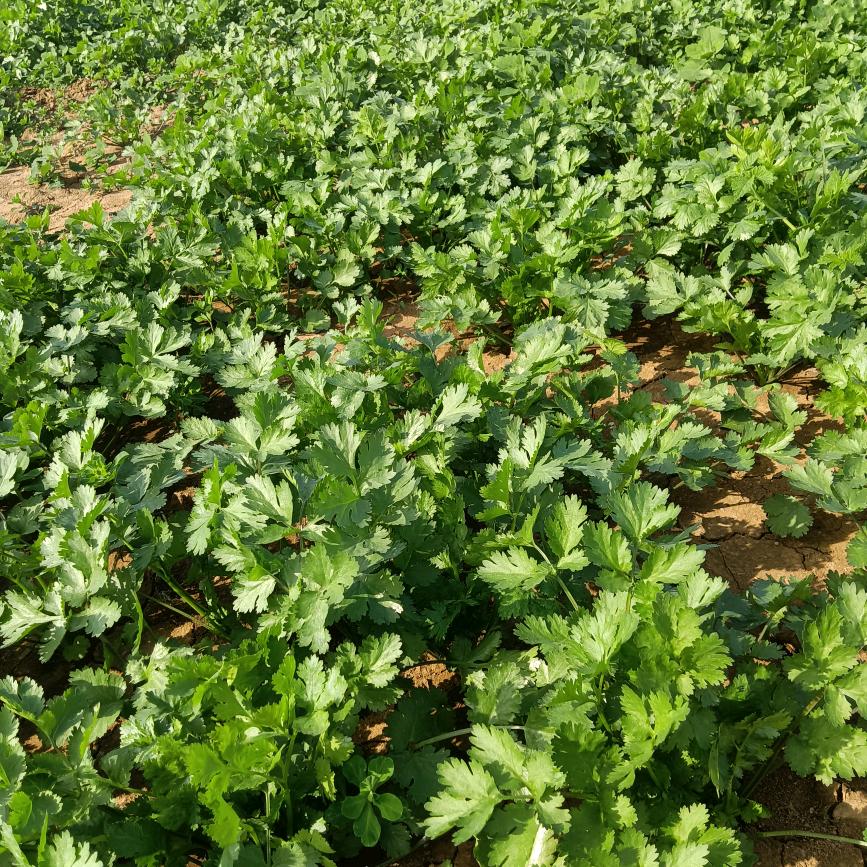 用户3635208147725雨后彩虹