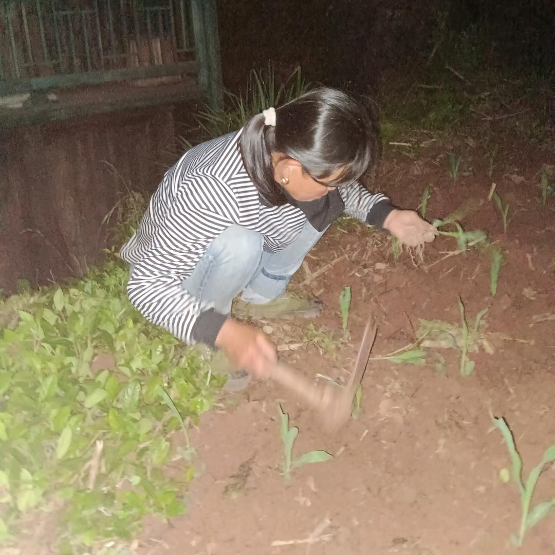 美丽的小女孩刘