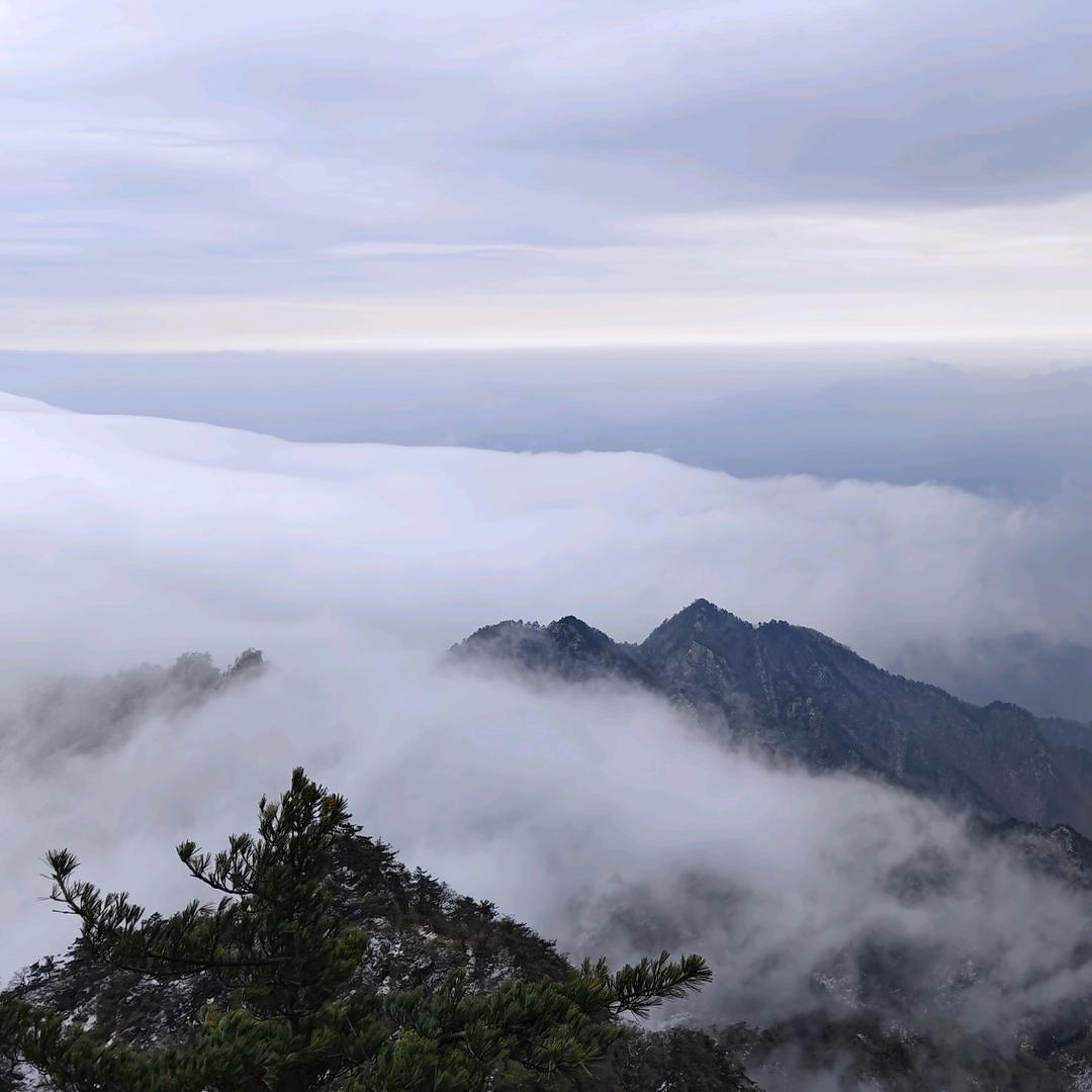 古塔文艺好货店羊光文艺
