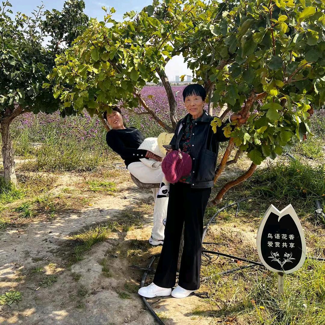 火梅