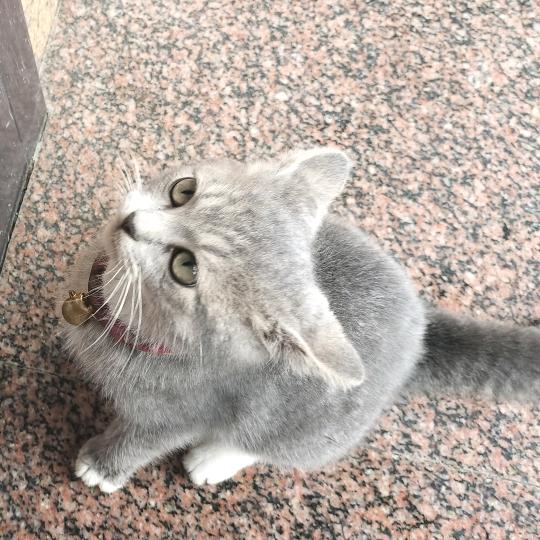 🌈秋池