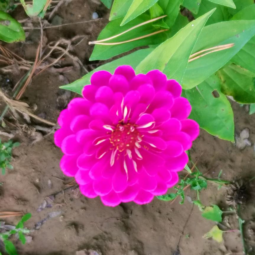 钱老
