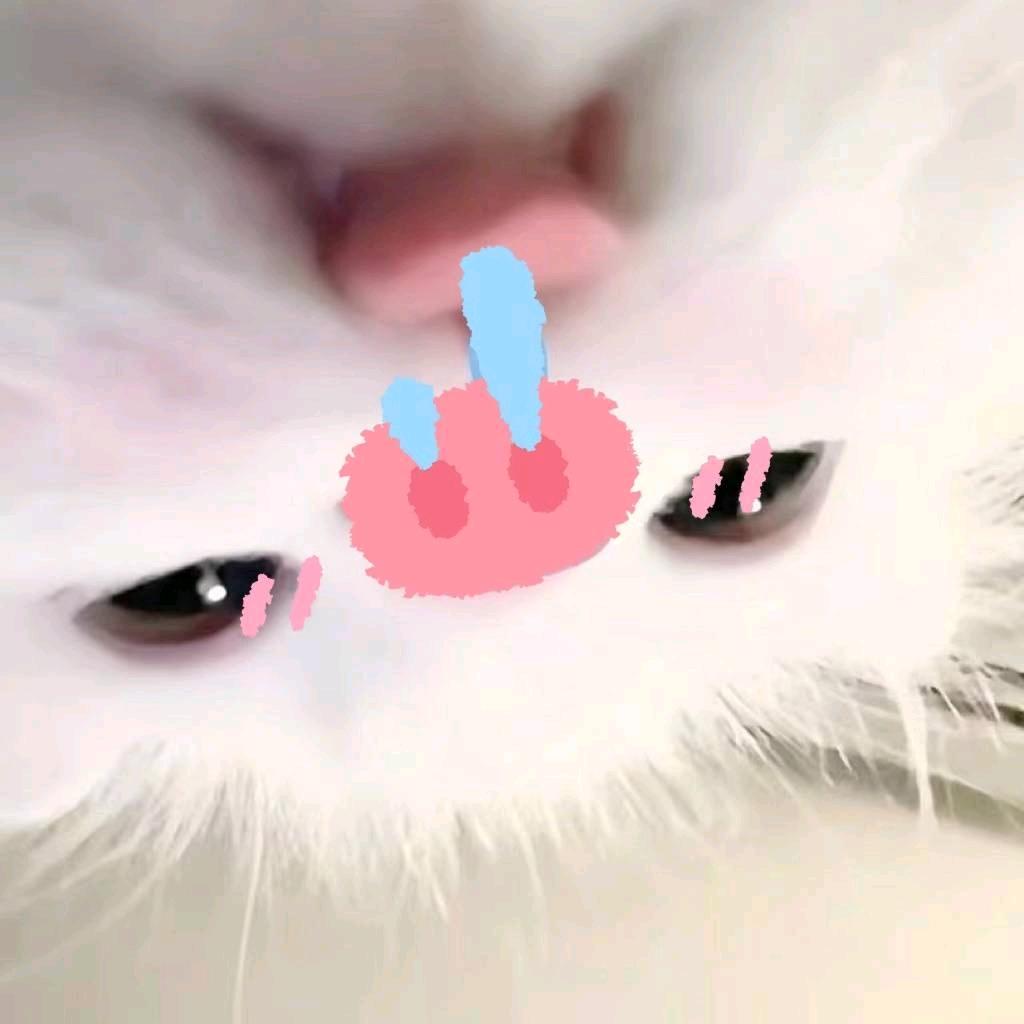 我呆呆的