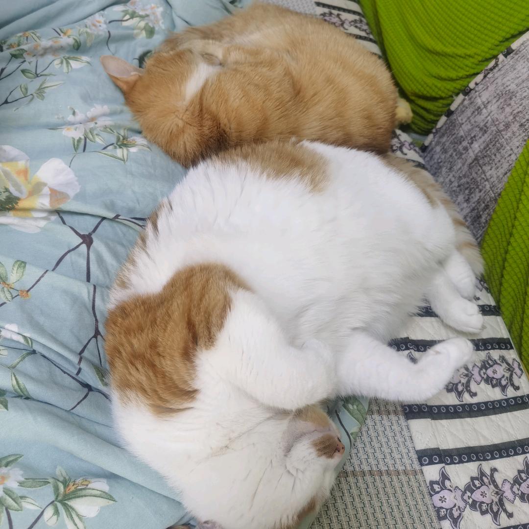 来都来了