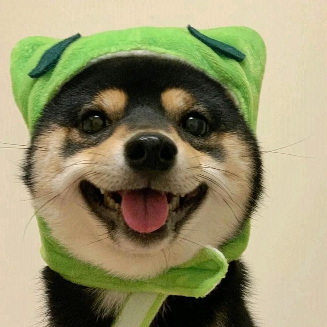孔祥鑫