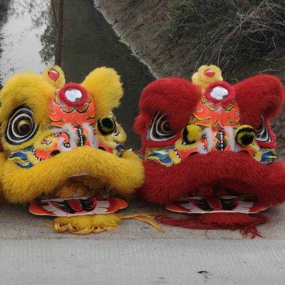 荆州七星网红舞狮团