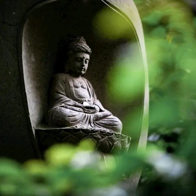 烟语&竹物