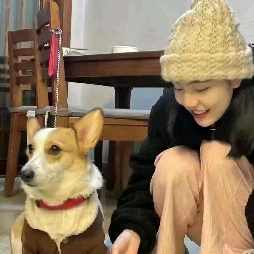 邓只只信息咨询服务中心