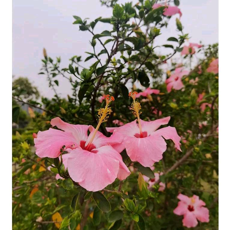 我是荣哥