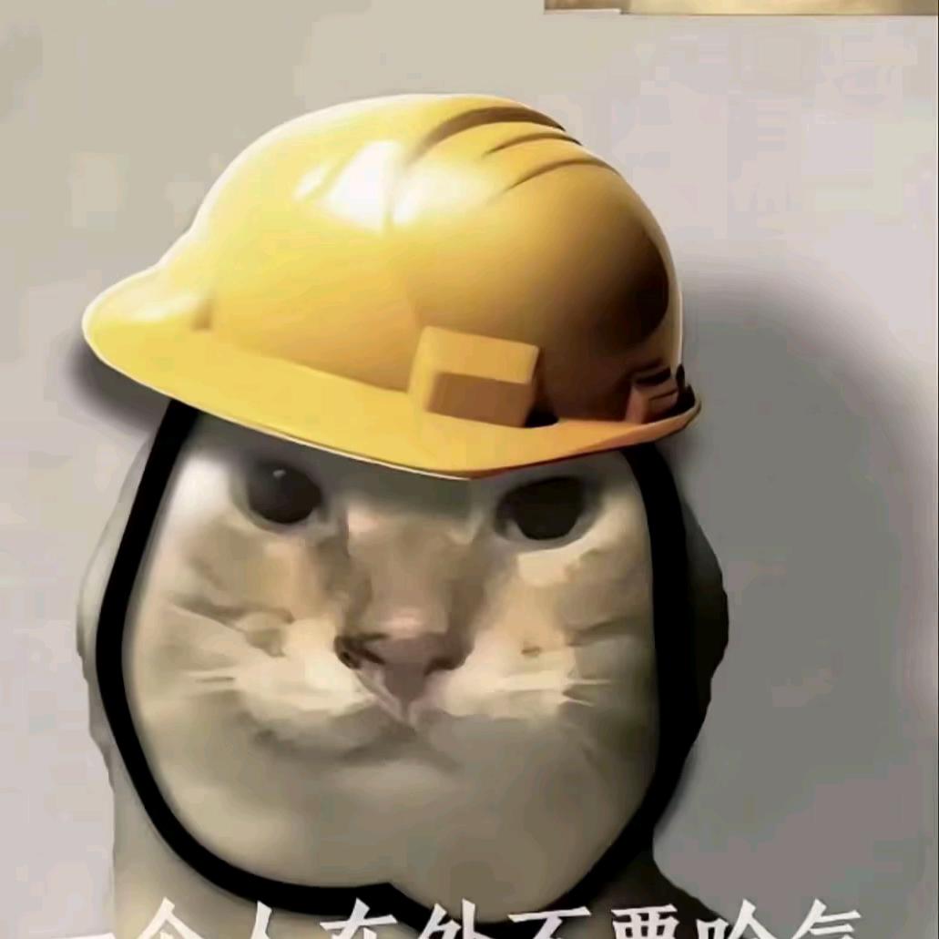 我可是小太阳