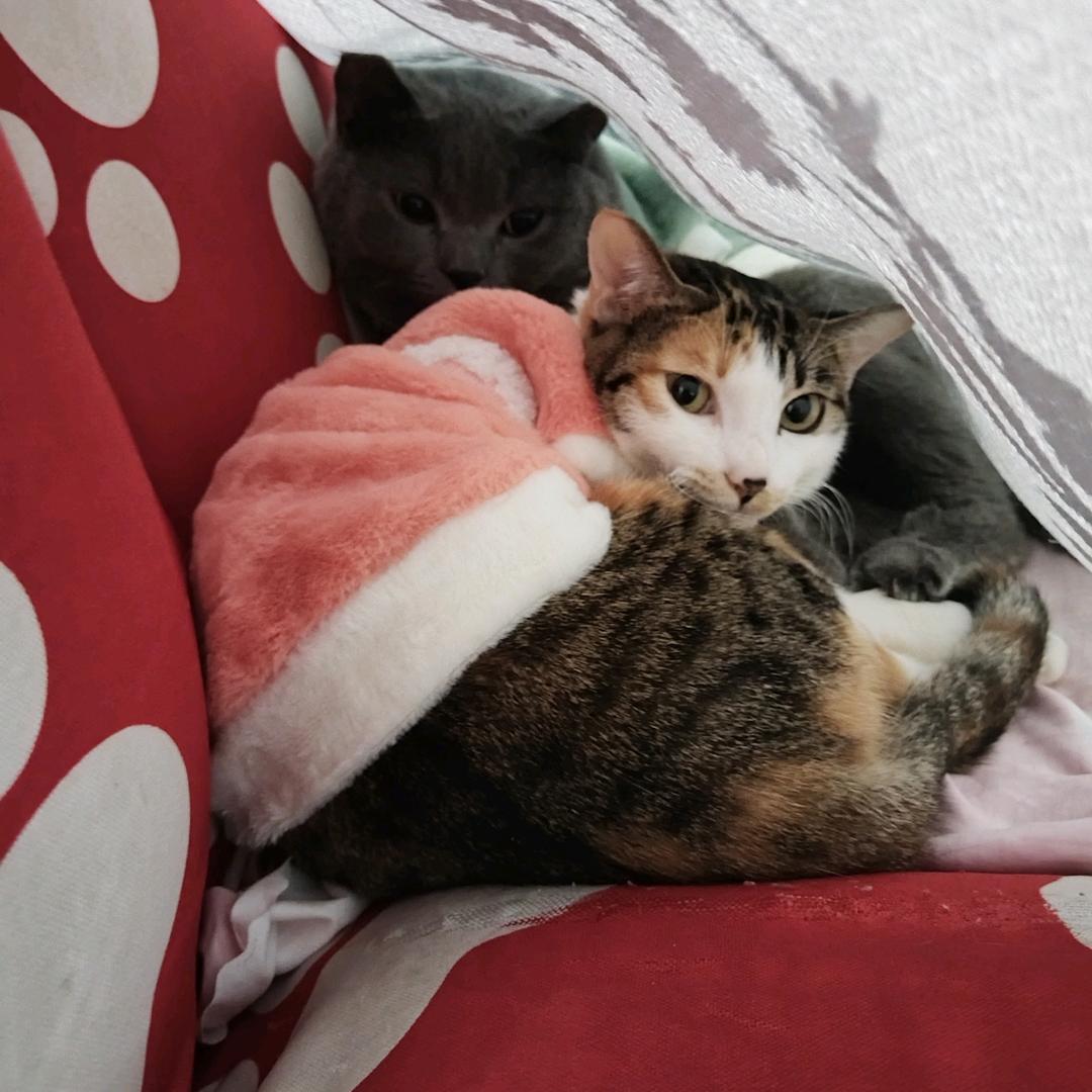 萍❤若水（不私聊）