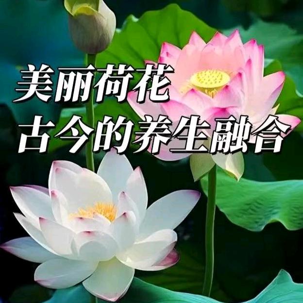生活常识教学