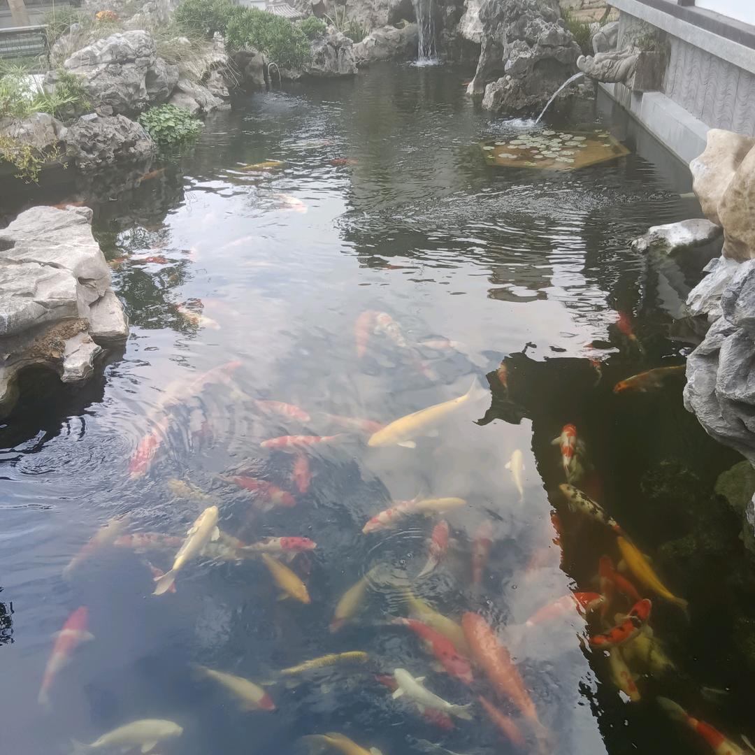 放下执念，善待自己