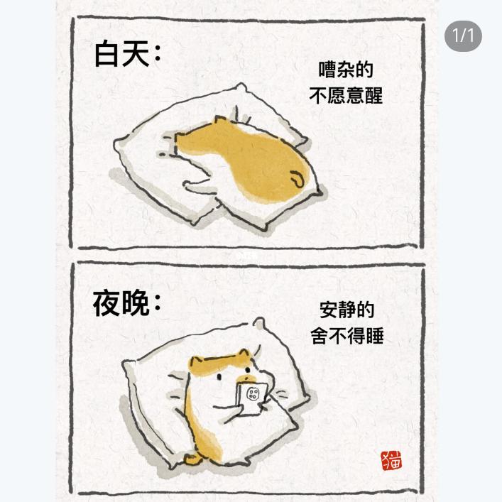 囍笑颜开🎵🎵🎵