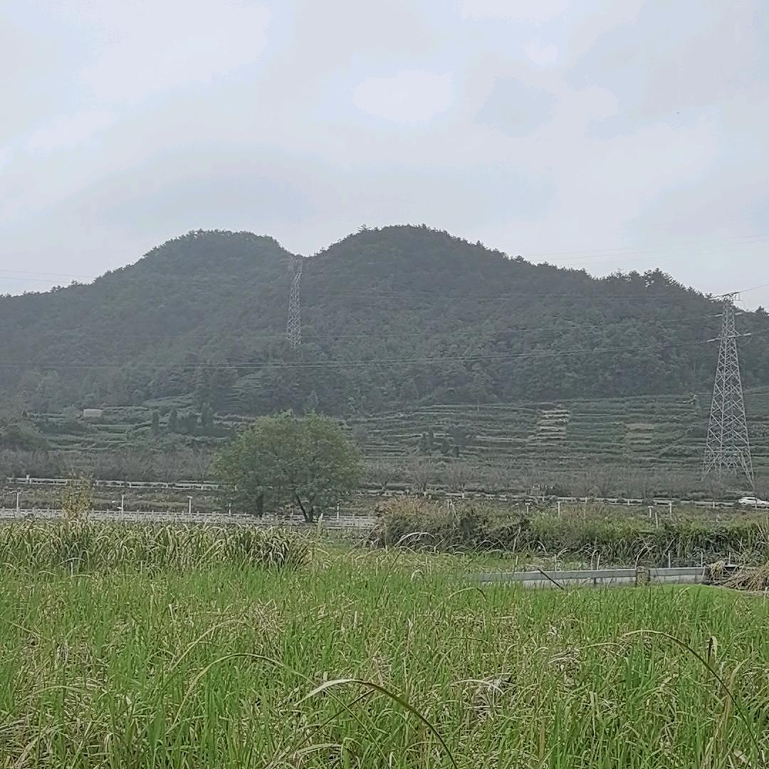 乡镇振兴