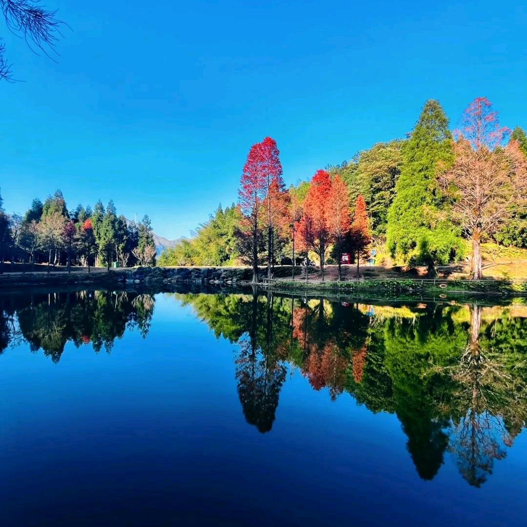 简易山居