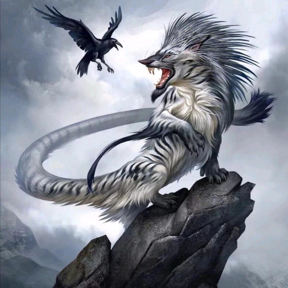 林锋