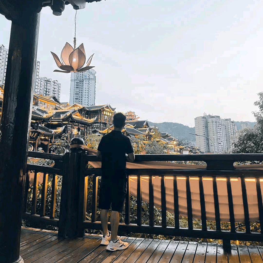 劉抛拋