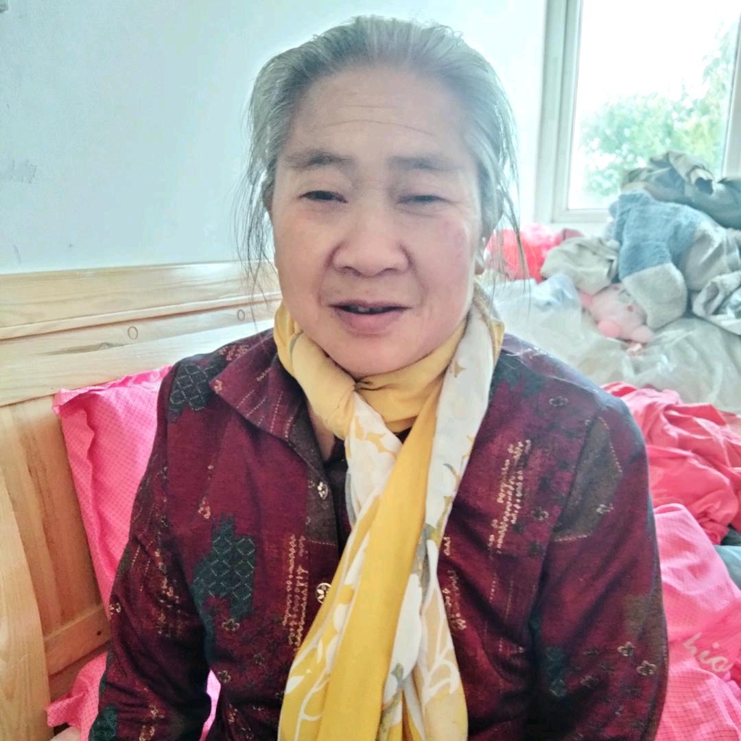 田野上的猫猫