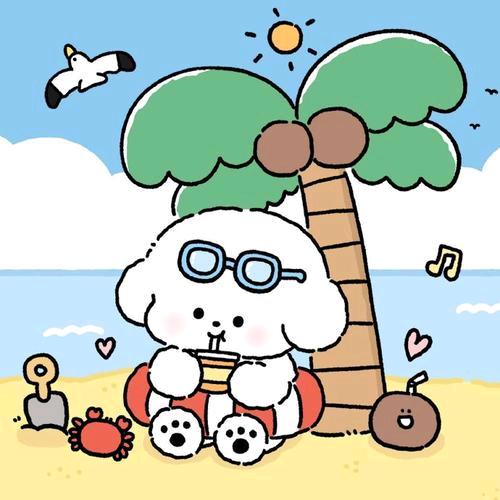 莘宝贝