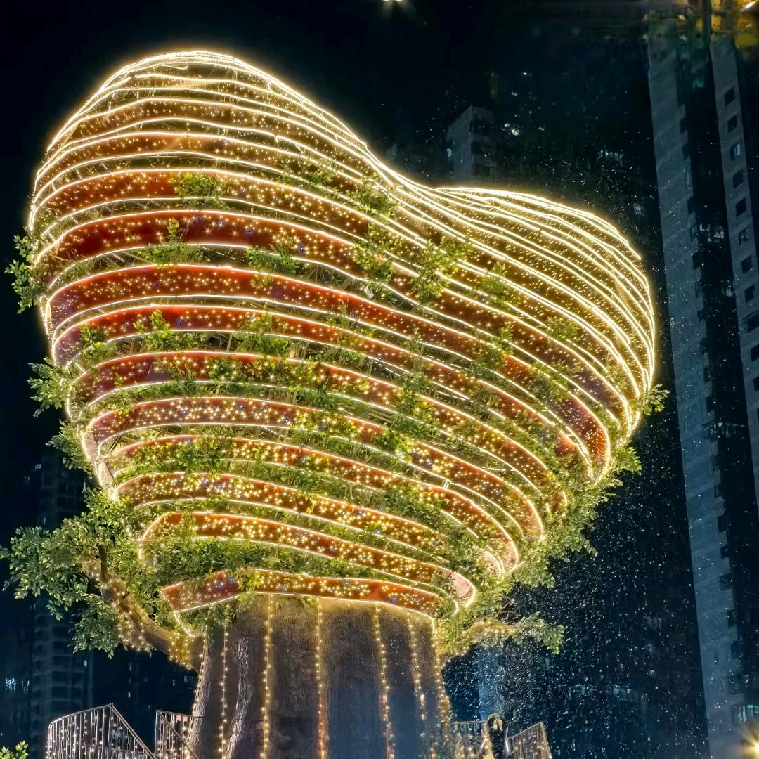 萌萌吖✨