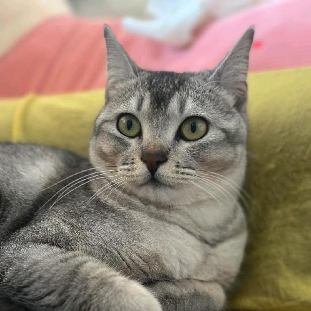 从心开始