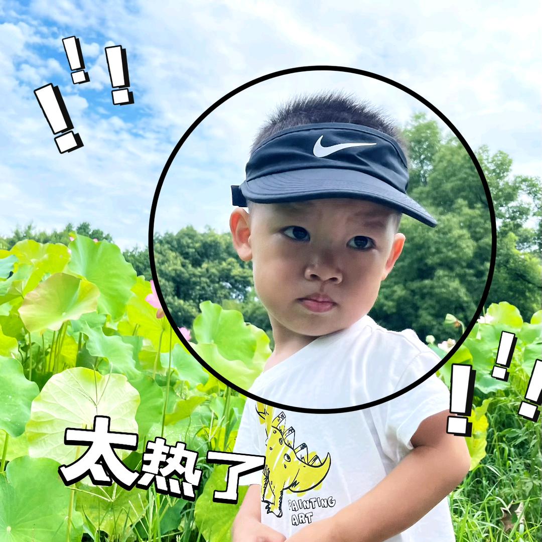 凤信子