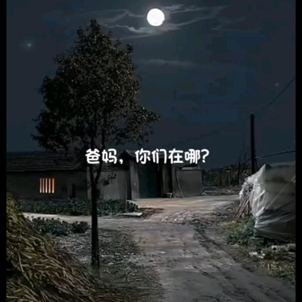 ✨信天翁✨