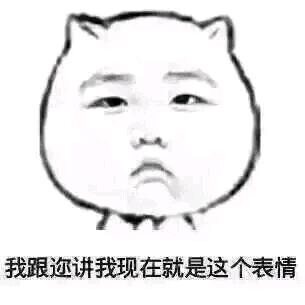 我跟迩讲我现在就是这个表情