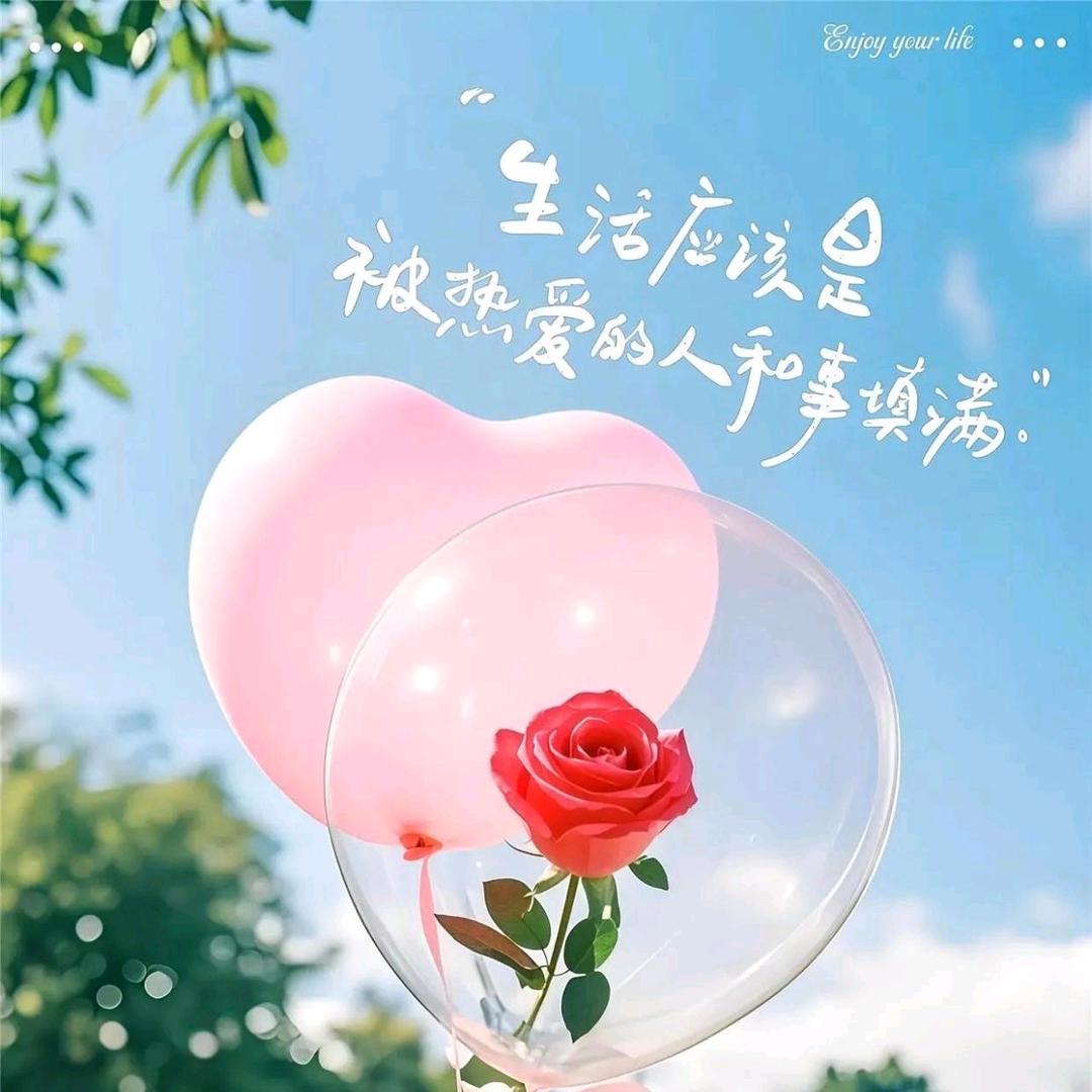 ℋღ᭄淡然💞࿐
