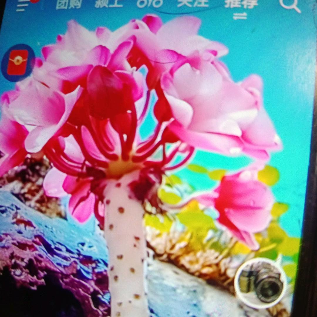 风雨彩虹