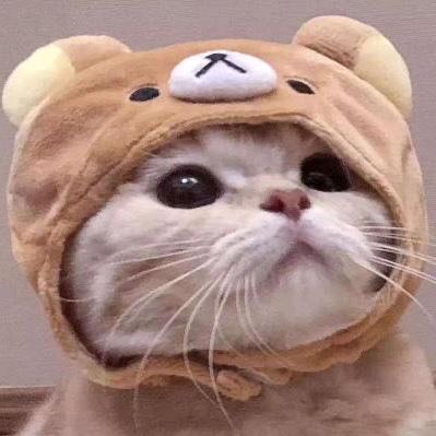 小单调