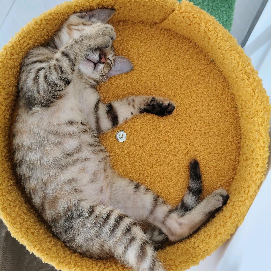 小不丢的幸福生活