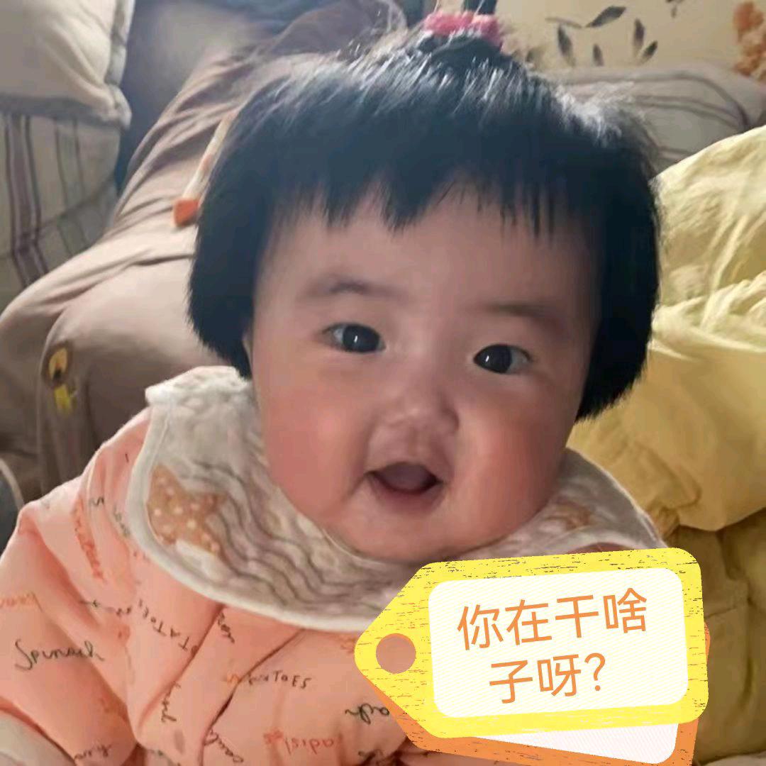 家有Q宝