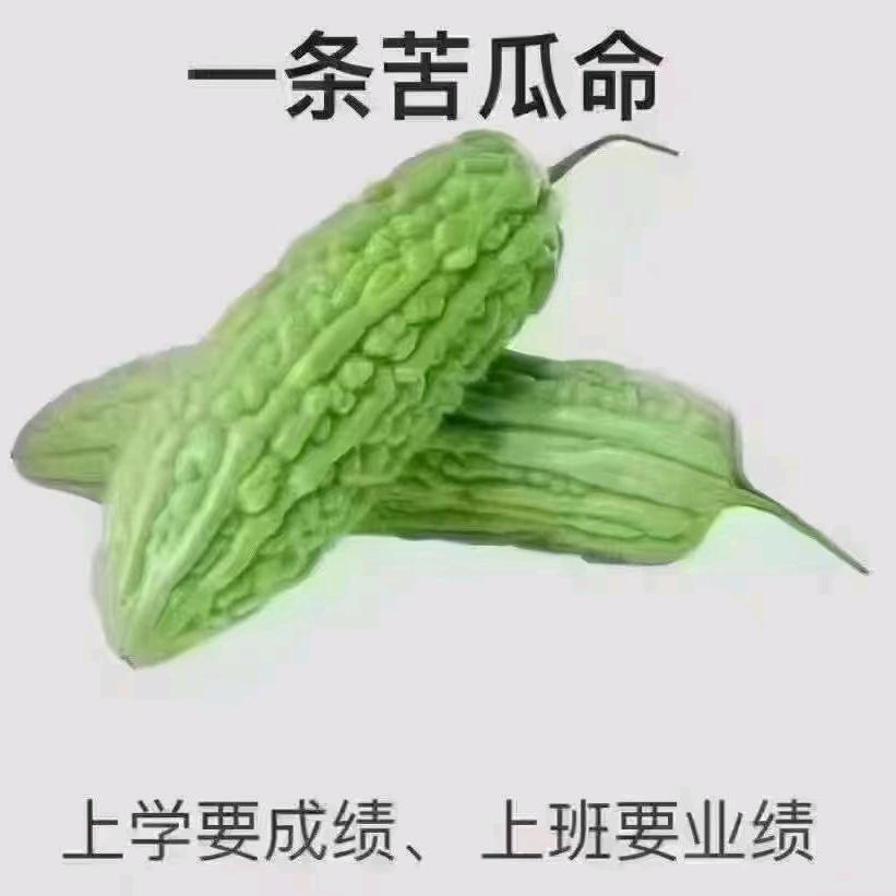 人生靠自己