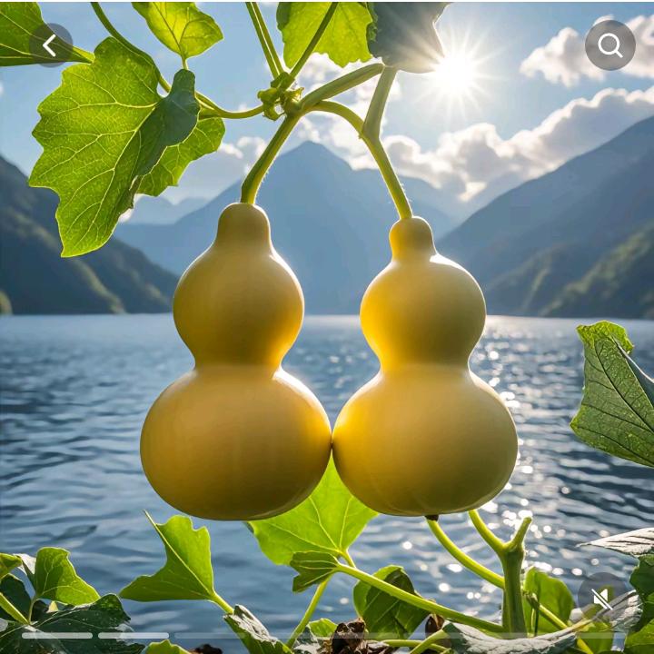 开心果，爱你😘🌹