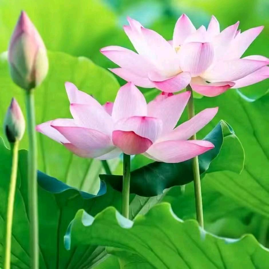 欣💕铖💕