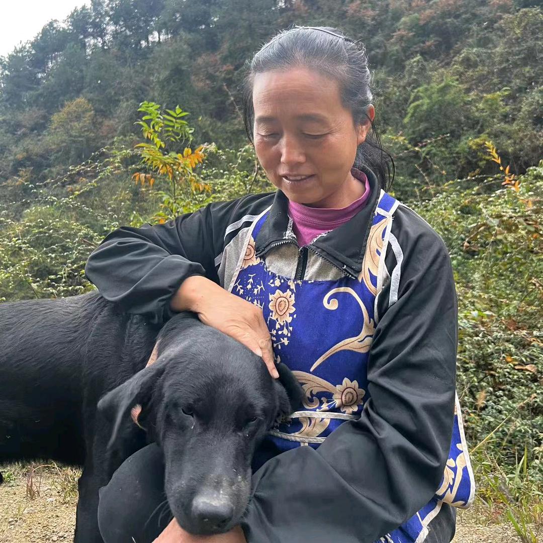 小飞妈妈