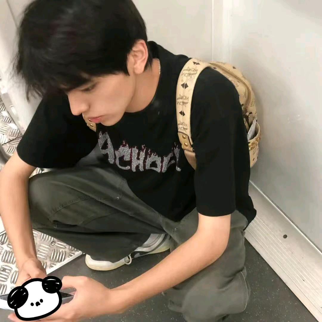 重生之我化身龙傲天追着狗咬了四条街