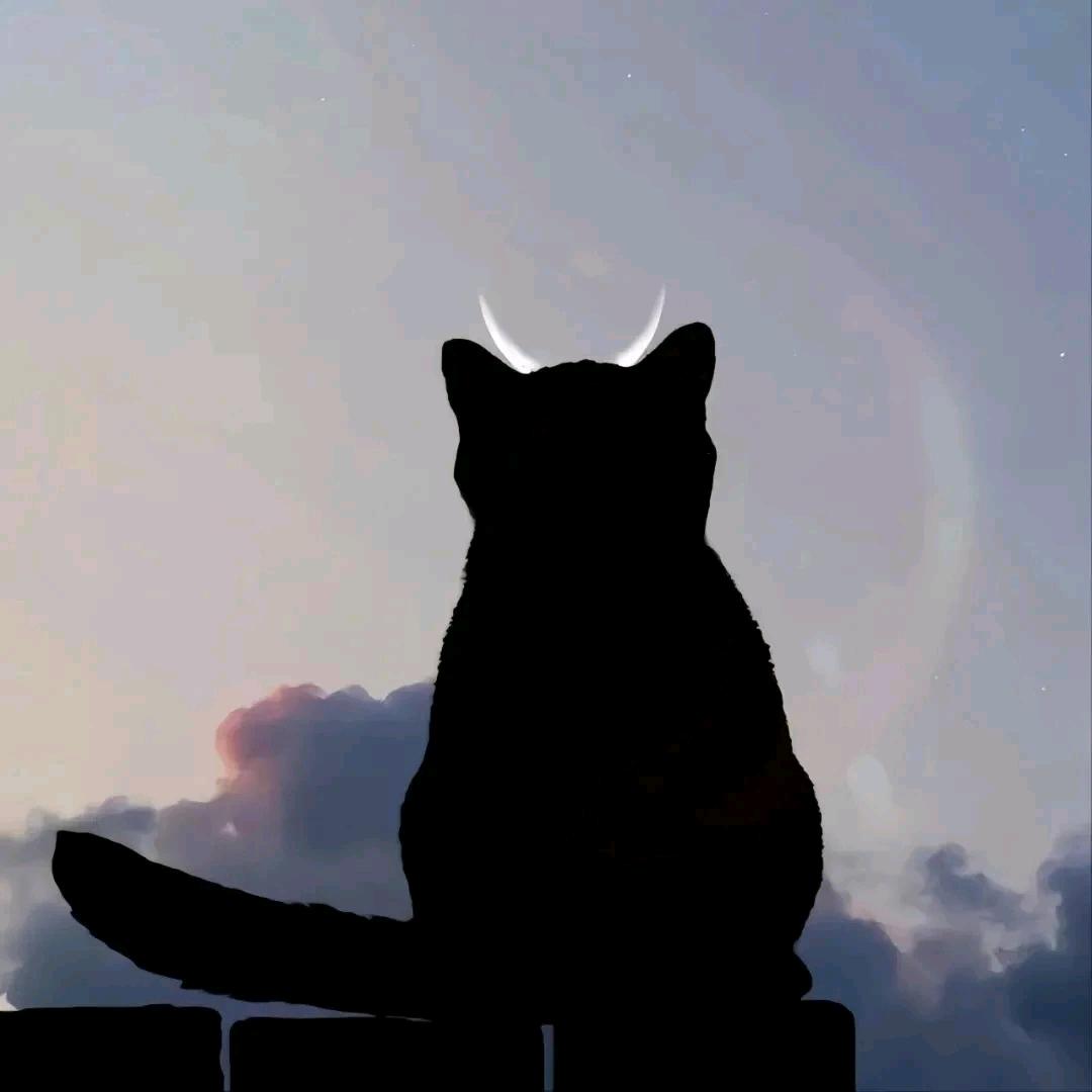 _Y